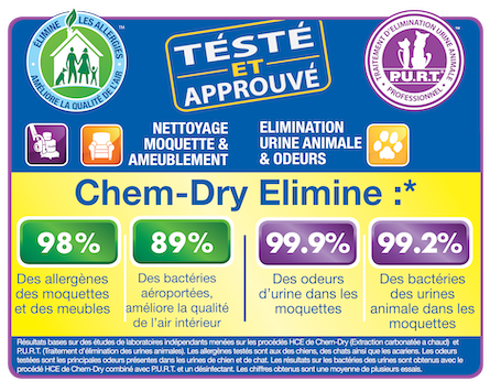 Chem-Dry will give a cleaner and healthier home Chem-Dry will give a cleaner and healthier home